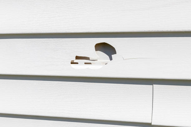 Best Furniture Removal  in Plummer, ID