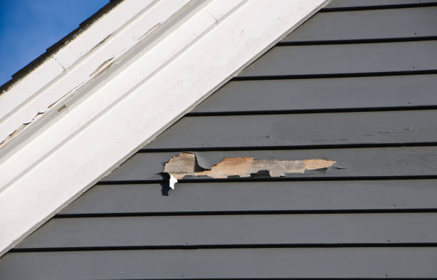 Shed Removal in Plummer, ID